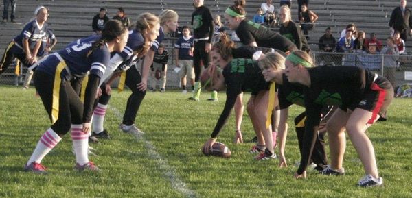 Fantasy Powderpuff